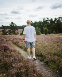 Lüneburger Heide – Wandern, Radfahren, Natur