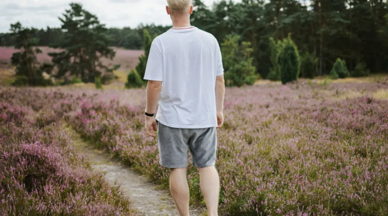 Lüneburger Heide – Wandern, Radfahren, Natur